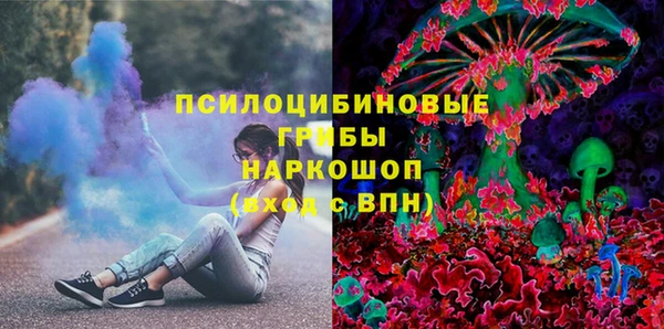 шишки Няндома