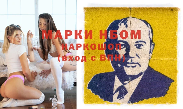 шишки Няндома