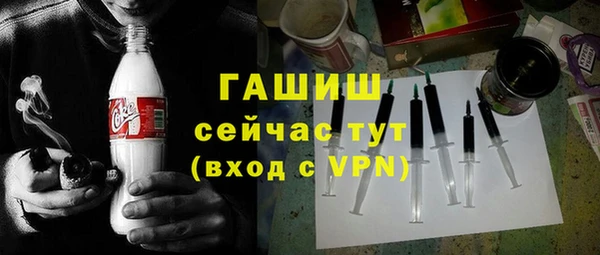 шишки Няндома