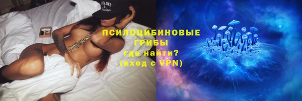 шишки Няндома