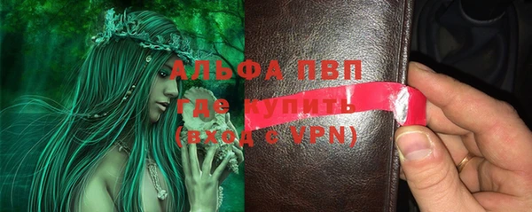 шишки Няндома