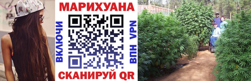 Шишки марихуана семена  Купить где  Энгельс 